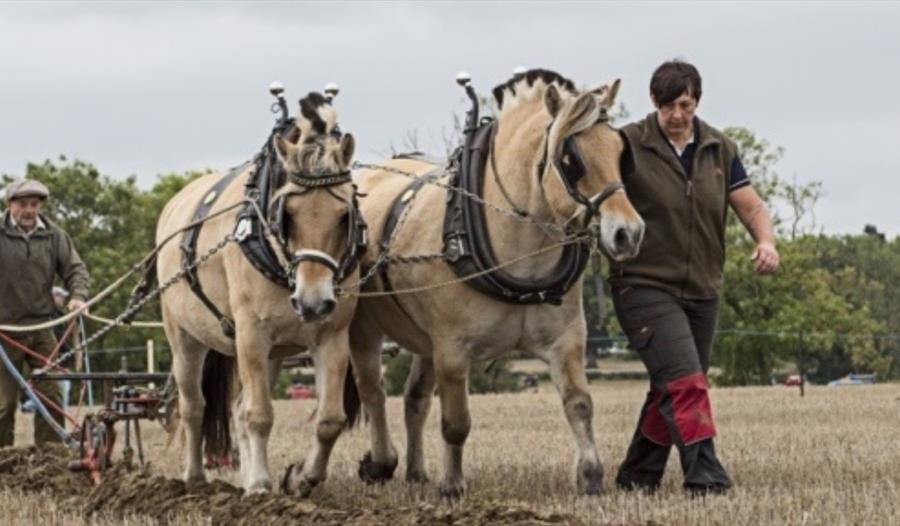 Brailsford Ploughing Match