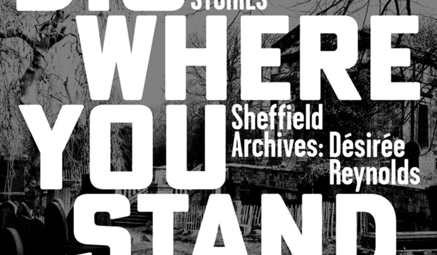 Dig Where You Stand: Excavating Untold Stories
