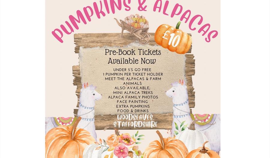 Pumpkins & Alpacas @ Tunstall Farm Park
