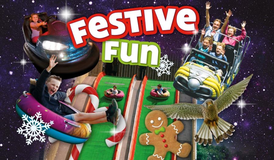 Festive Fun
