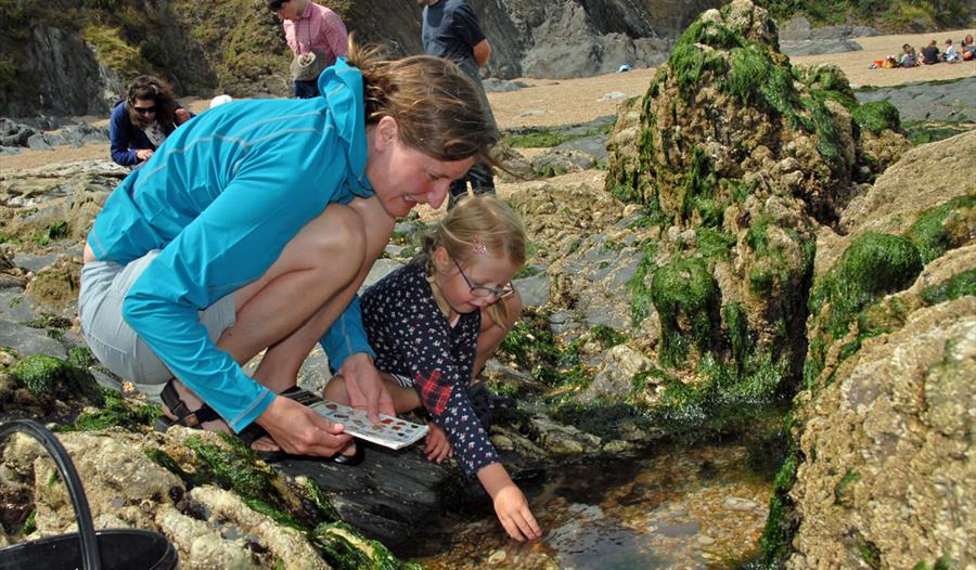 Spring tide rockpooling and Easter egg-case hunt