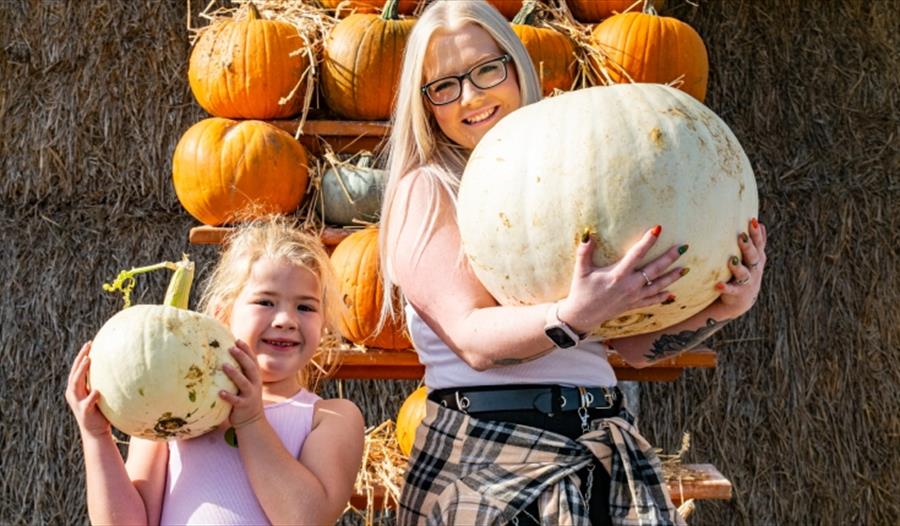 Pumpkin Pride at Tapnell Farm Park at Halloween event, Isle of Wight, What's On