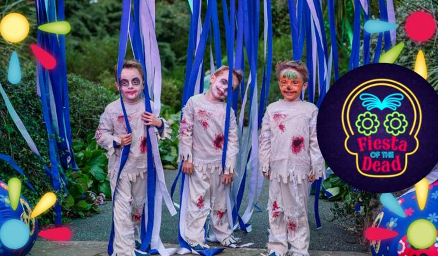 Three boys dressed up for Fiesta of the Dead at Blackgang Chine, what's on, event, Isle of Wight