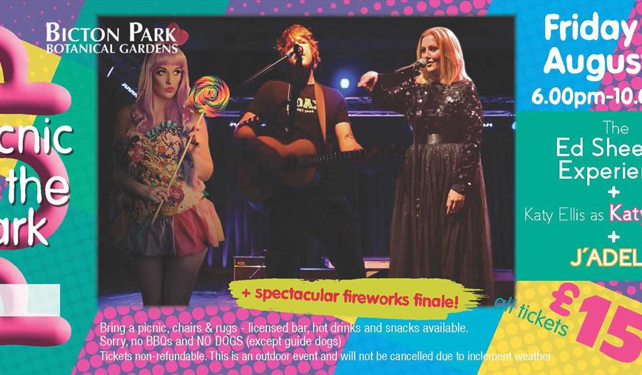 Pop Picnic in the Park