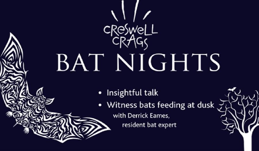 Bat Night at Creswell Crags