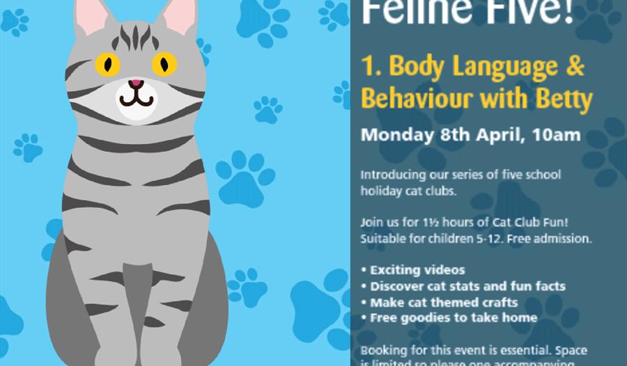 Cats Protection School Holiday Cat Club