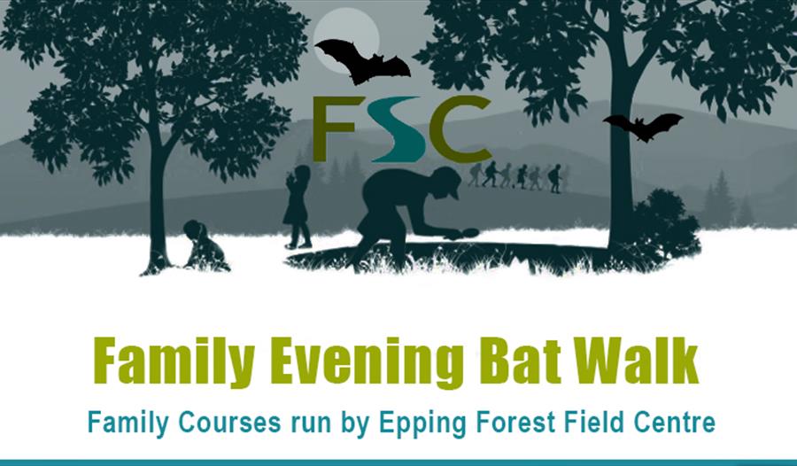 An evening bat walk in Epping Forest from the Epping Forest Field Centre