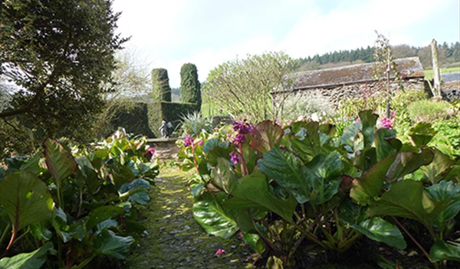 Open Garden in Aid of St Margaret’s Hospice - Willett Farm