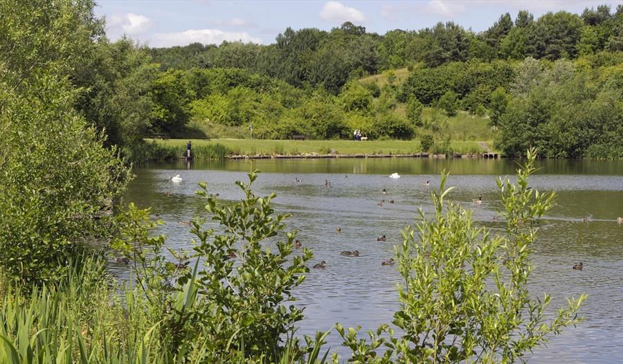 Holmebrook Valley Country Park lake