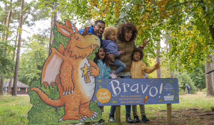 Zog returns to Cardinham Woods 2023