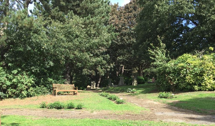 Trees at Spital Cemetery