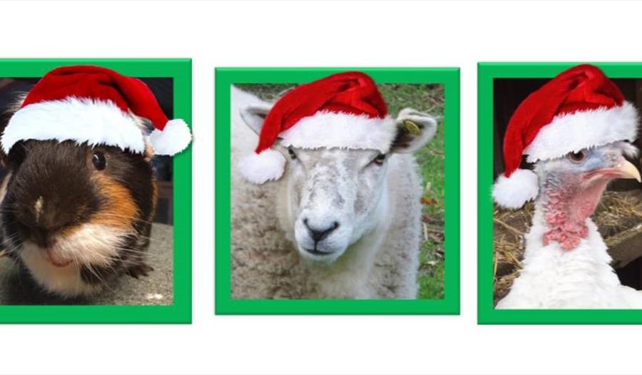 New Ark Christmas Bazaar
