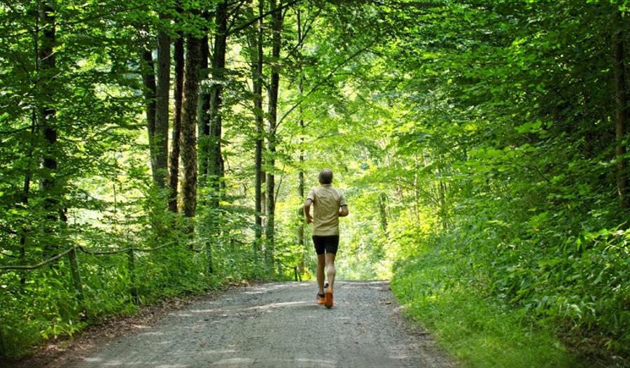 Isle of Wight, Things to Do, Isle of Wight Steam Railway, Race the Train Event, Image of man running/jogging along forest/woodland path