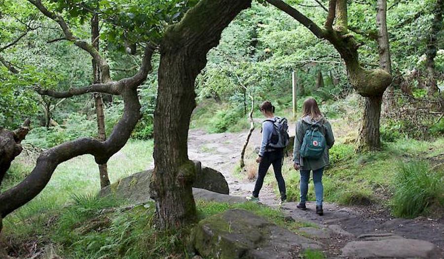 Peak to Park: Padley to Endcliffe