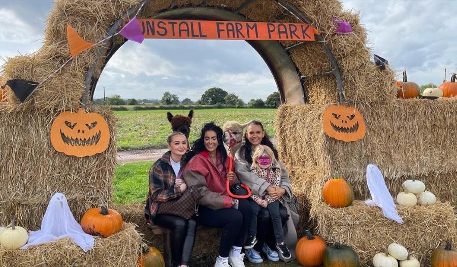 Image shows a family sitting on hay bales at Tunstall Farm Park, surrounded by pumpkins, ghosts and alpacas