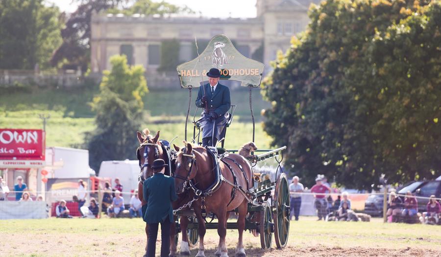 Ellingham Show