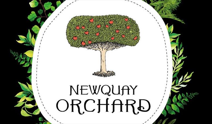 Newquay Orchard's Summer Fayre