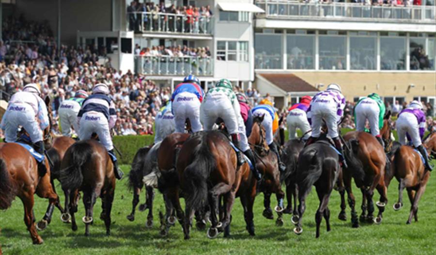 The Betway Kingwell Hurdle Raceday at Wincanton Racecourse