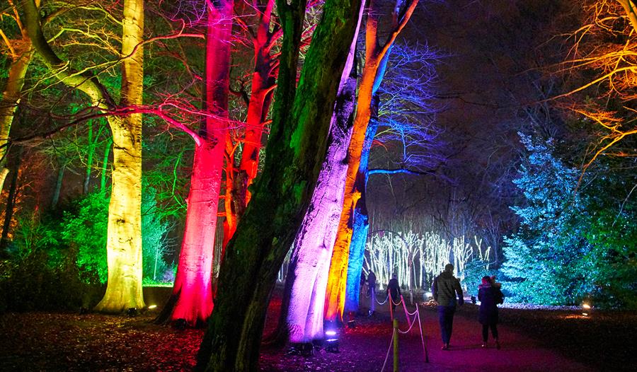 Christmas Trail at Killerton