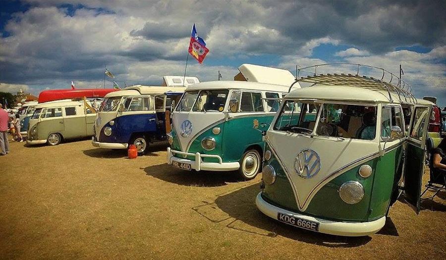 Dubs at the Beach, Paignton, Devon