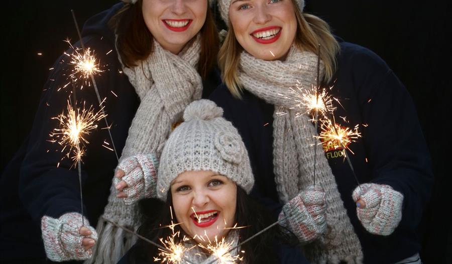 Bonfire Night at The BIG Sheep