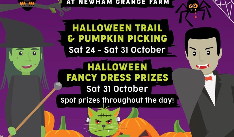 Halloween fun at Newham Grange Farm