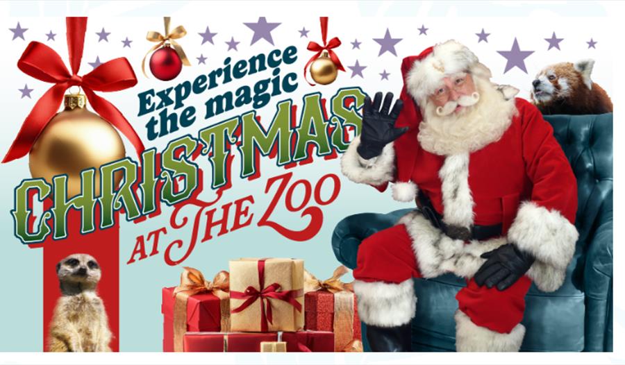 Christmas At The Zoo, Paignton Zoo