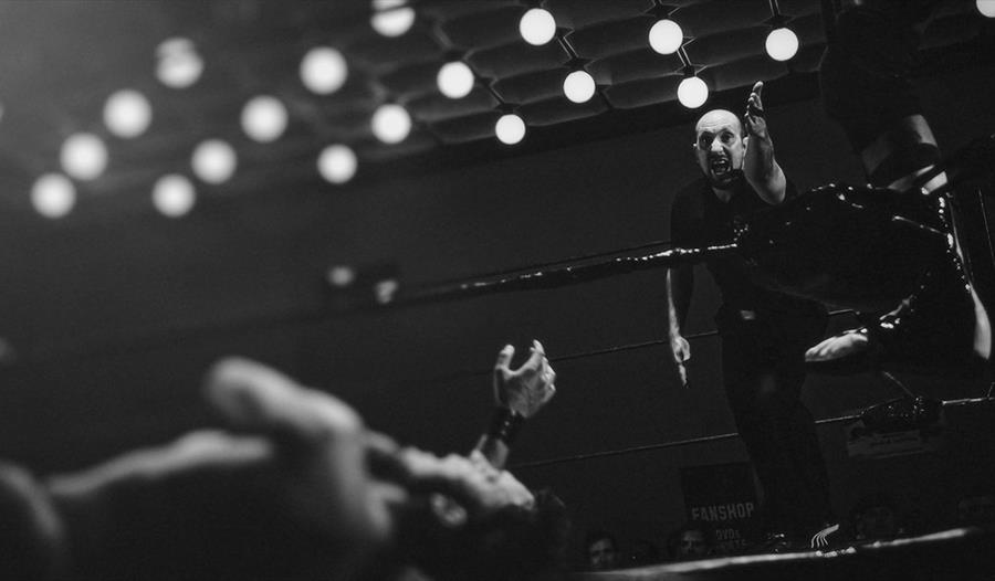 Wrestler down in the ring and referee gesturing with arm