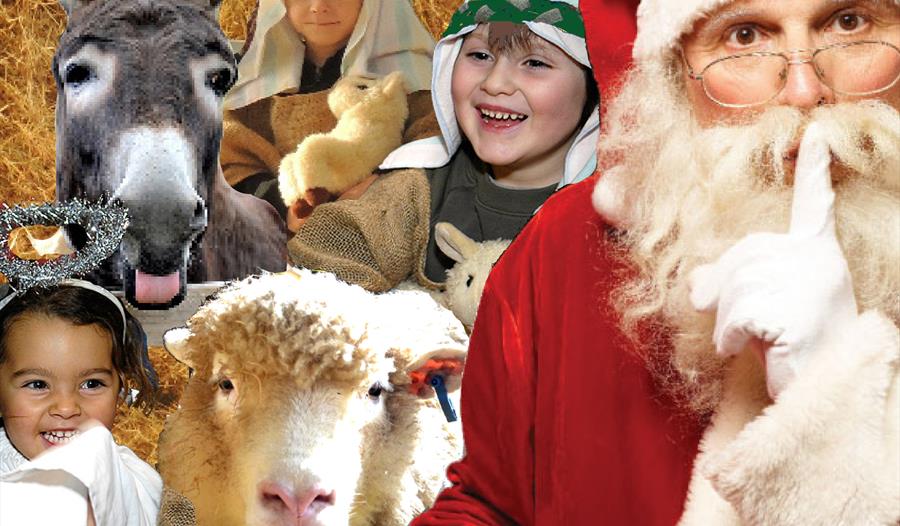 Christmas at Roves Farm