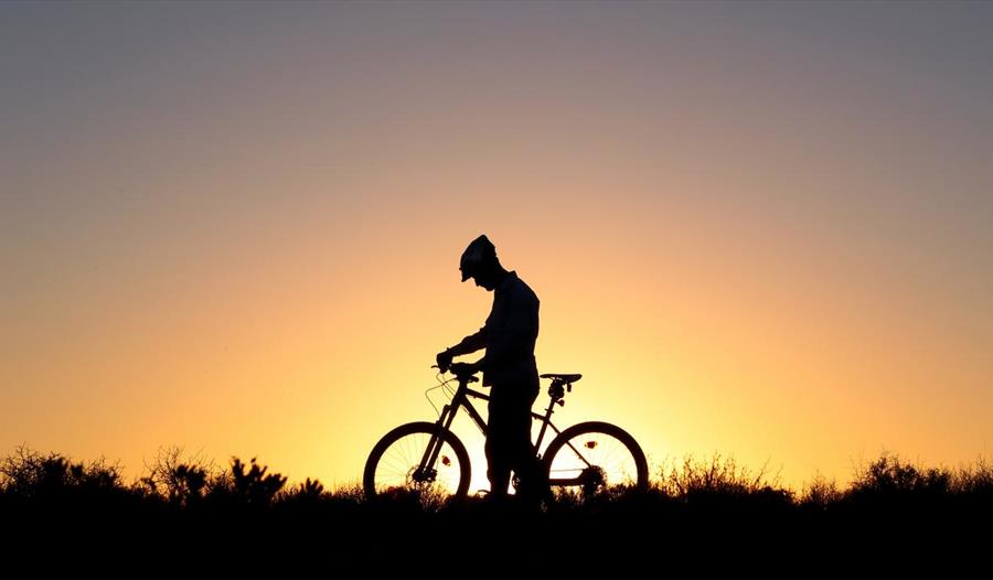 Lone cyclist at sunset