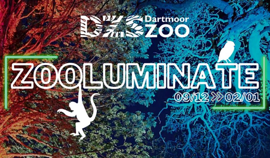 Zooluminate