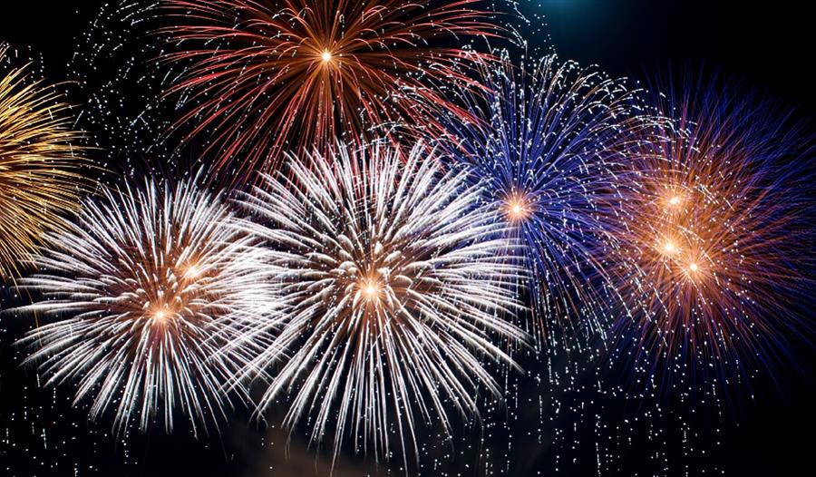 Brampton Manor Bonfire Night Party and Firework Display