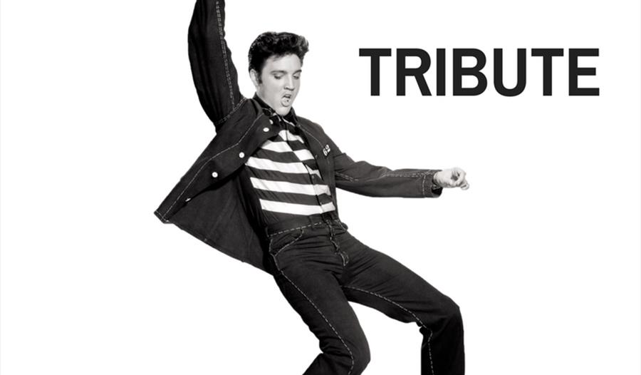 Elvis Tribute by Stuart Horne