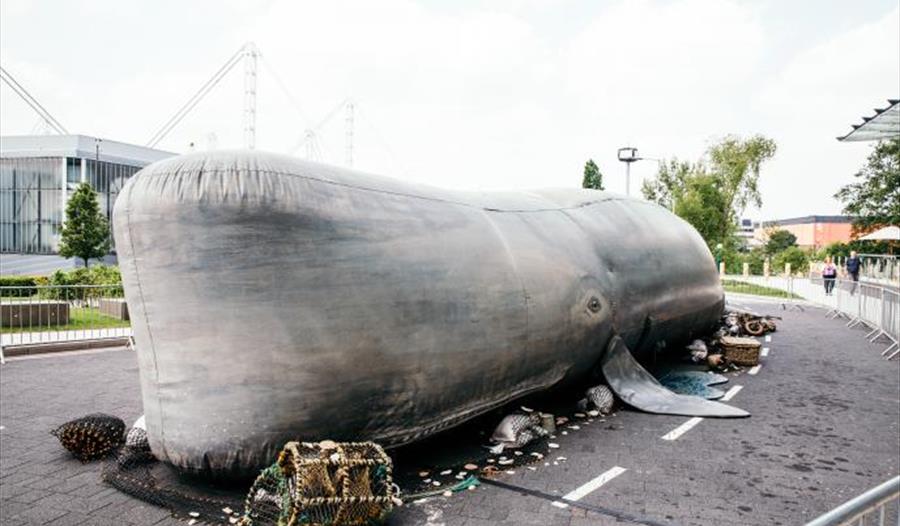 Giant Whale Street Theatre