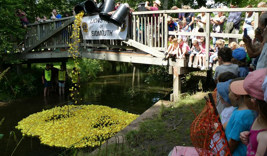 SIDMOUTH LIONS - DUCK DERBY 12.09.2021