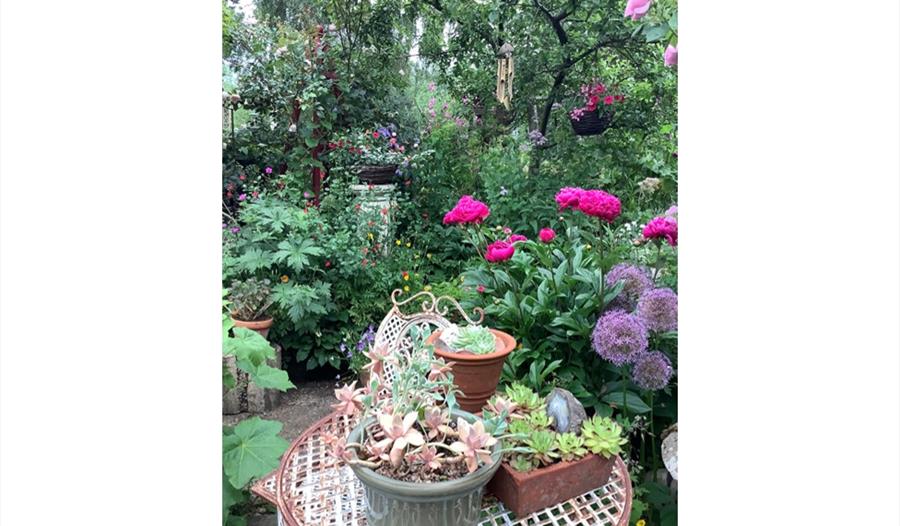 Bramley Open Gardens