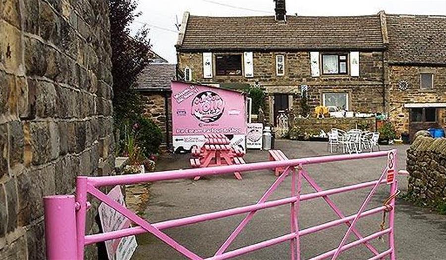 Sheffield’s Lakeland: Our Cow Molly Ice Cream Walk