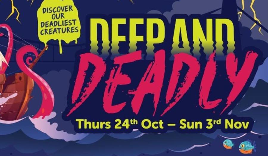 Deep and Deadly at Bristol Aquarium