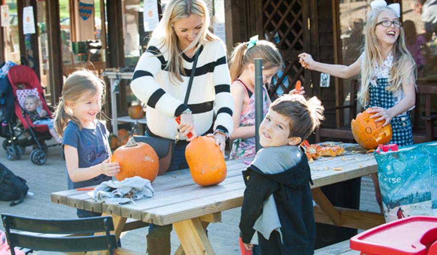 Stonor Park Halloween Trail