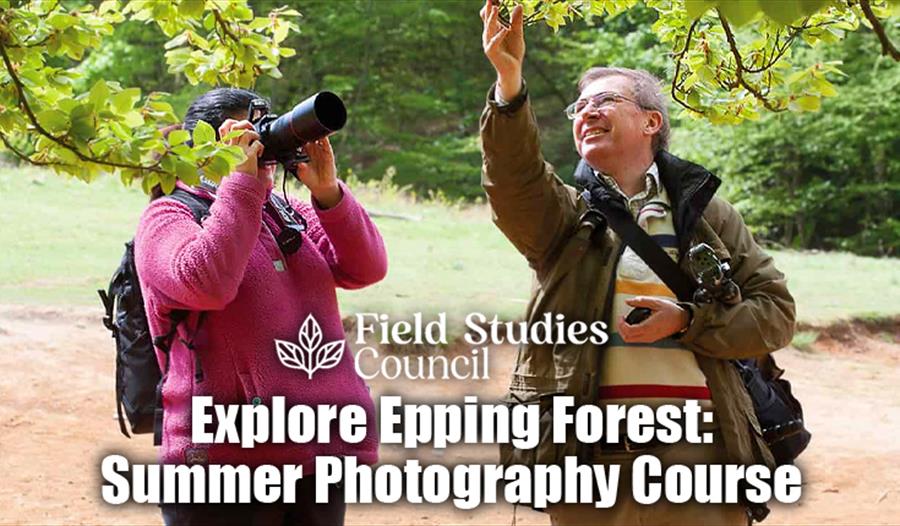 Explore Epping Forest: Summer Photography Course with the Field Studies Council.