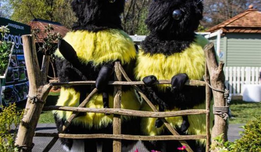 The Buzzy Bumble Bees Street Theatre