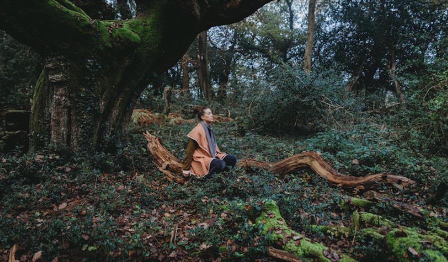 Women sat on a tree in the forest