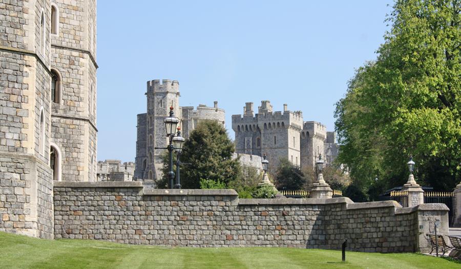 Curious About Windsor
