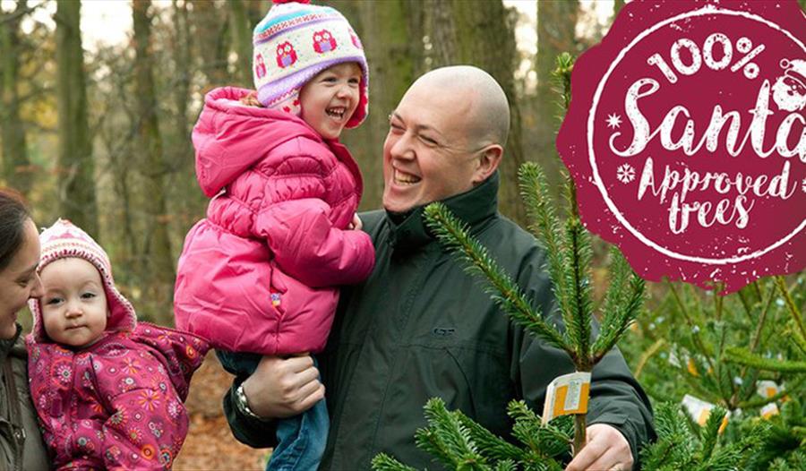 Bedgebury Pinetum Christmas Tree Sales