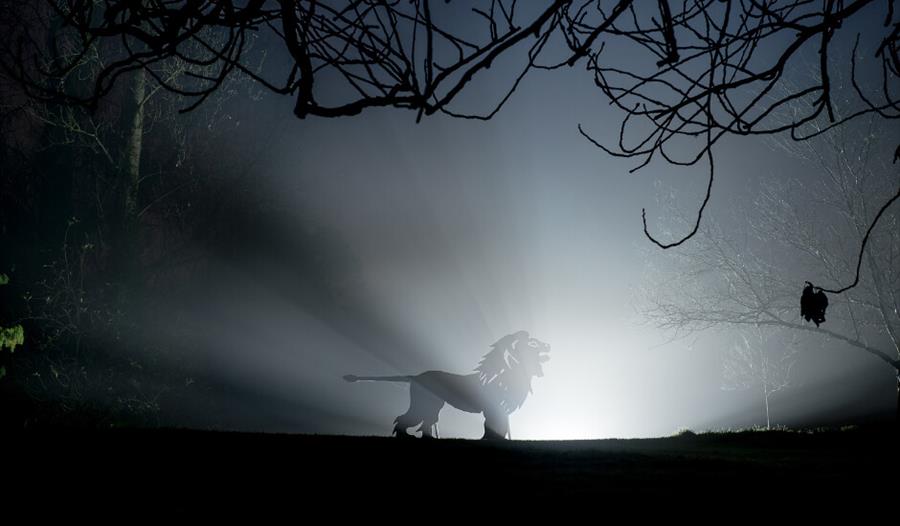 Lion statue illuminated from behind