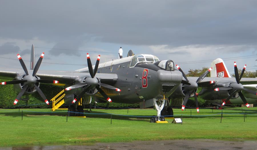 are dogs allowed at newark air museum