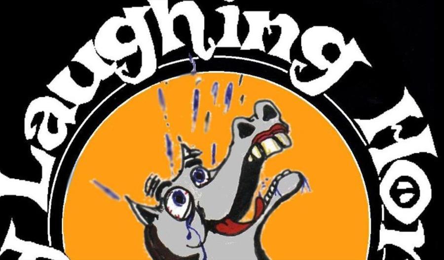 Laughing Horse Weekend (2 Day) Comedy Course