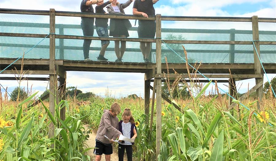 People on a bridge pointing