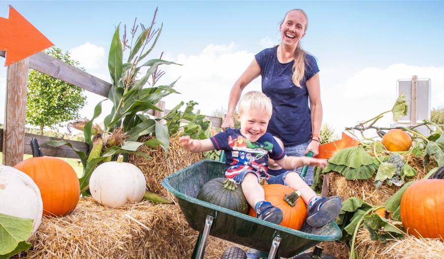 Pumpkin Fest at Noah's Ark Zoo Farm
