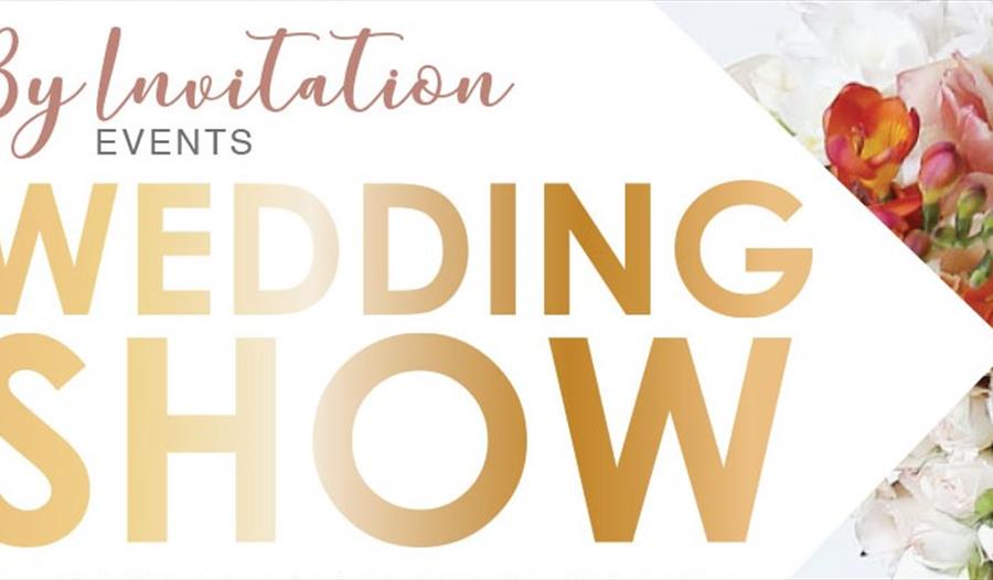 Dillington House Wedding Show with Firework Display